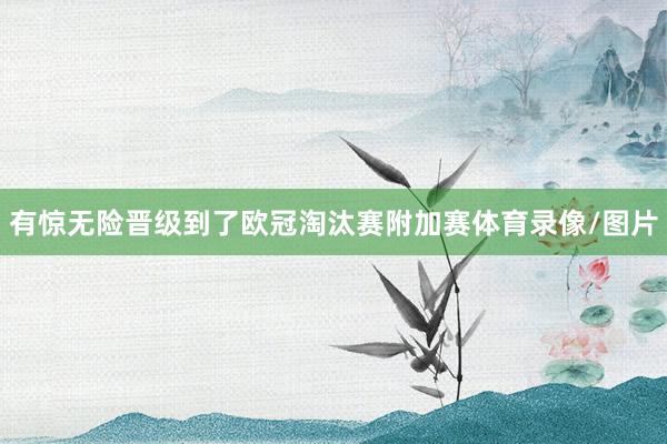 有惊无险晋级到了欧冠淘汰赛附加赛体育录像/图片