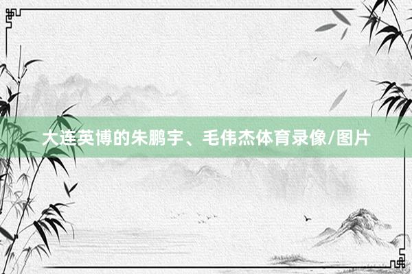 大连英博的朱鹏宇、毛伟杰体育录像/图片