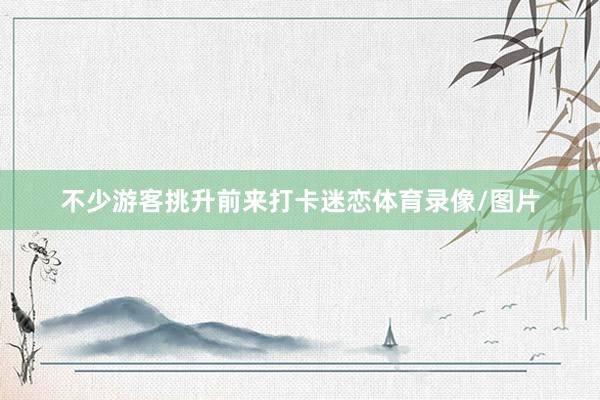 不少游客挑升前来打卡迷恋体育录像/图片