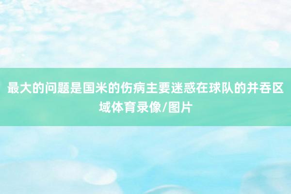 最大的问题是国米的伤病主要迷惑在球队的并吞区域体育录像/图片