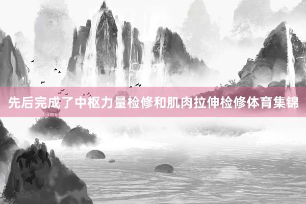 先后完成了中枢力量检修和肌肉拉伸检修体育集锦