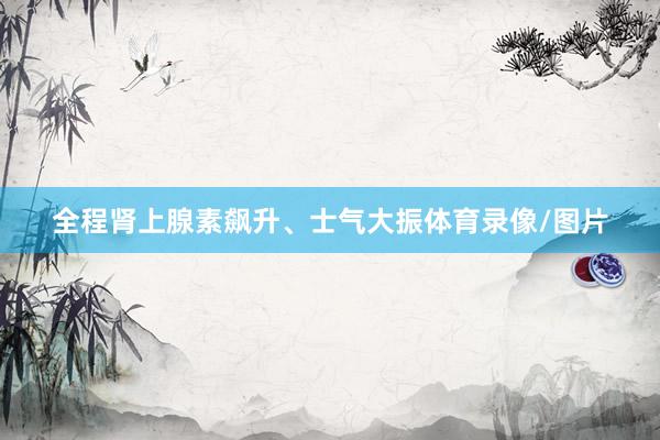 全程肾上腺素飙升、士气大振体育录像/图片