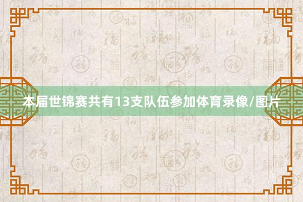 本届世锦赛共有13支队伍参加体育录像/图片