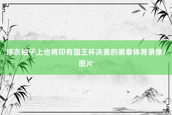 球衣袖子上也将印有国王杯决赛的徽章体育录像/图片