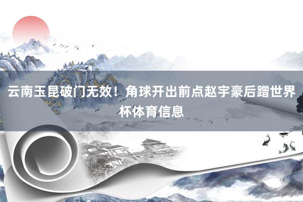 云南玉昆破门无效！角球开出前点赵宇豪后蹭世界杯体育信息