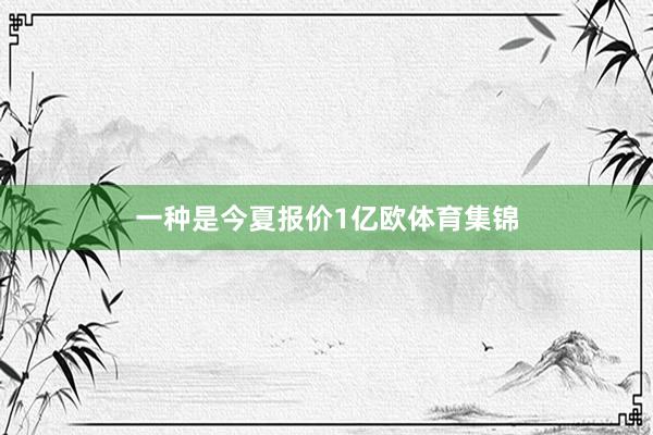 一种是今夏报价1亿欧体育集锦