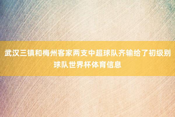 武汉三镇和梅州客家两支中超球队齐输给了初级别球队世界杯体育信息