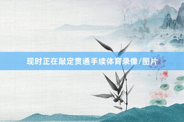 现时正在敲定贯通手续体育录像/图片