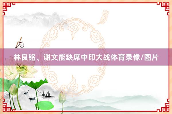 林良铭、谢文能缺席中印大战体育录像/图片