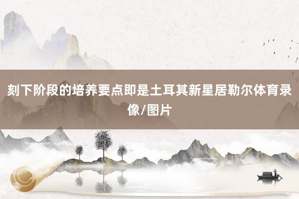 刻下阶段的培养要点即是土耳其新星居勒尔体育录像/图片