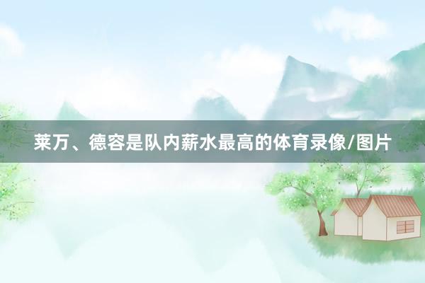 莱万、德容是队内薪水最高的体育录像/图片