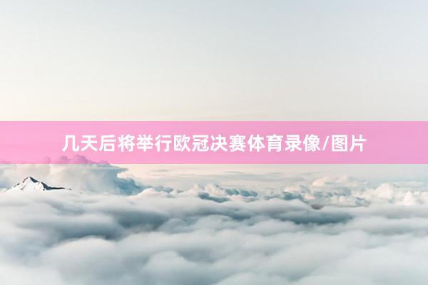 几天后将举行欧冠决赛体育录像/图片