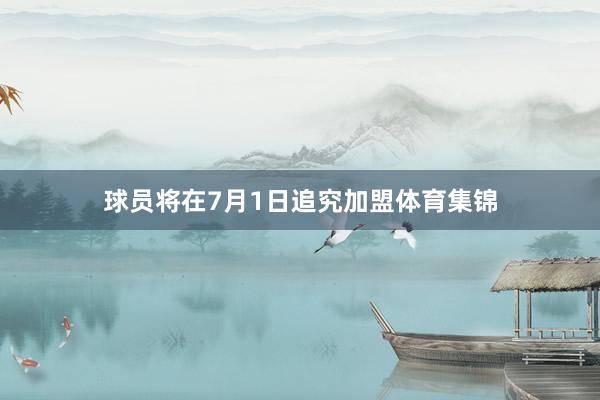 球员将在7月1日追究加盟体育集锦