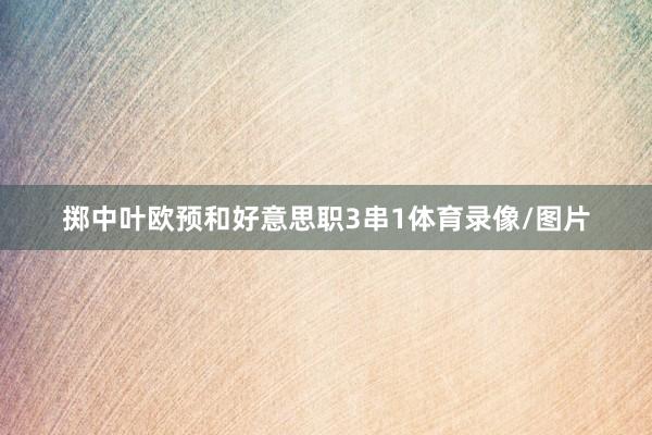 掷中叶欧预和好意思职3串1体育录像/图片