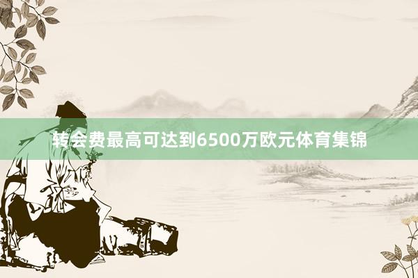 转会费最高可达到6500万欧元体育集锦