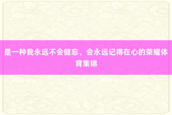是一种我永远不会健忘、会永远记得在心的荣耀体育集锦
