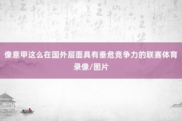 像意甲这么在国外层面具有垂危竞争力的联赛体育录像/图片