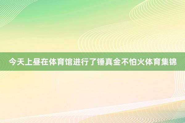 今天上昼在体育馆进行了锤真金不怕火体育集锦