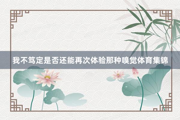 我不笃定是否还能再次体验那种嗅觉体育集锦
