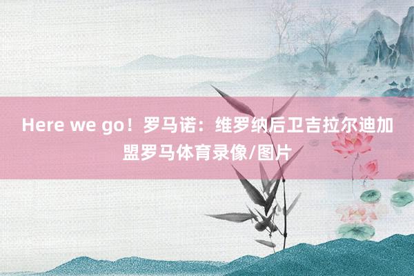 Here we go！罗马诺：维罗纳后卫吉拉尔迪加盟罗马体育录像/图片