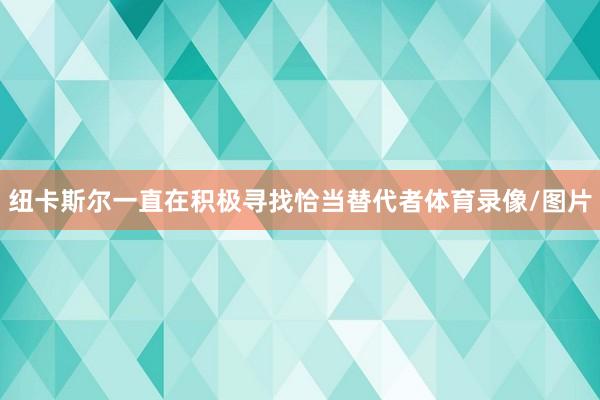 纽卡斯尔一直在积极寻找恰当替代者体育录像/图片