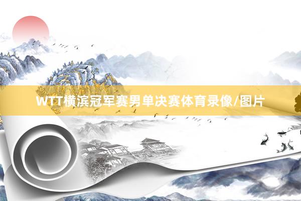 WTT横滨冠军赛男单决赛体育录像/图片