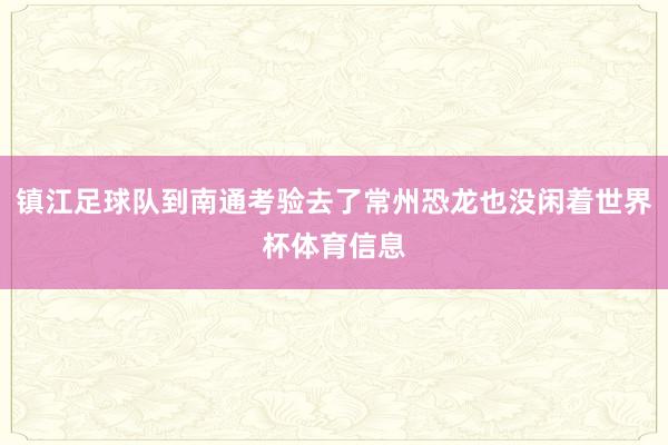 镇江足球队到南通考验去了常州恐龙也没闲着世界杯体育信息