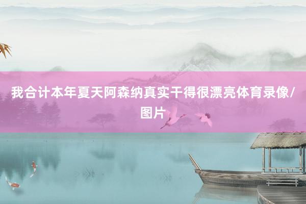 我合计本年夏天阿森纳真实干得很漂亮体育录像/图片