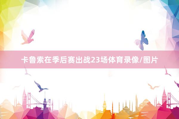 卡鲁索在季后赛出战23场体育录像/图片