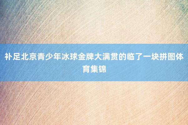 补足北京青少年冰球金牌大满贯的临了一块拼图体育集锦
