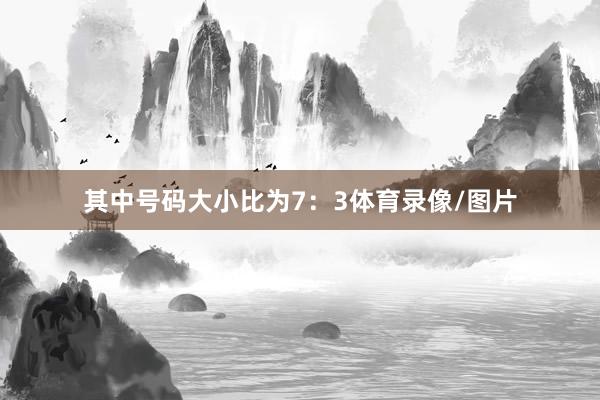 其中号码大小比为7：3体育录像/图片