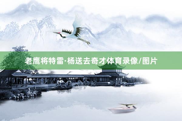 老鹰将特雷·杨送去奇才体育录像/图片