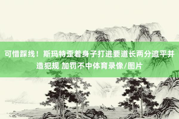 可惜踩线！斯玛特歪着身子打进要道长两分追平并造犯规 加罚不中体育录像/图片