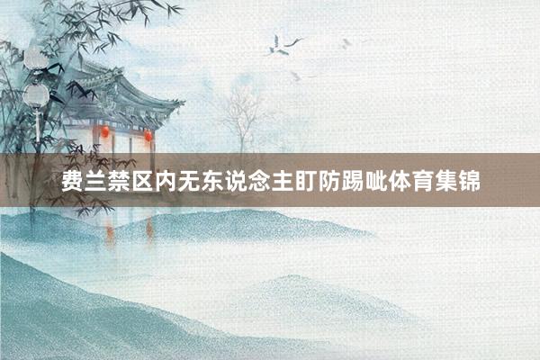 费兰禁区内无东说念主盯防踢呲体育集锦