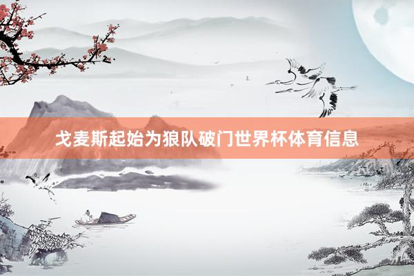 戈麦斯起始为狼队破门世界杯体育信息