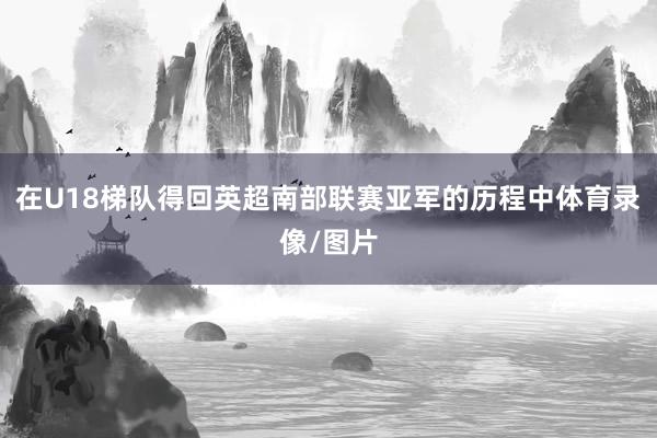 在U18梯队得回英超南部联赛亚军的历程中体育录像/图片