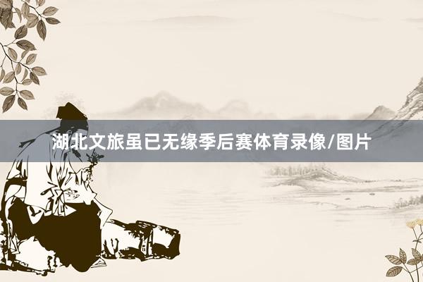 湖北文旅虽已无缘季后赛体育录像/图片
