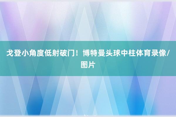 戈登小角度低射破门！博特曼头球中柱体育录像/图片