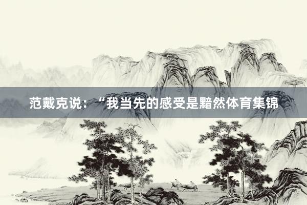 范戴克说：“我当先的感受是黯然体育集锦