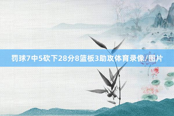 罚球7中5砍下28分8篮板3助攻体育录像/图片