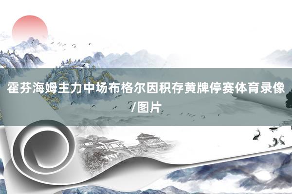 霍芬海姆主力中场布格尔因积存黄牌停赛体育录像/图片